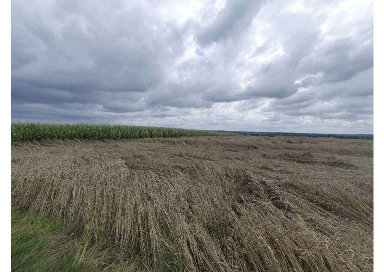Photo 3 sur 4, Ottignies-Louvain-la-Neuve